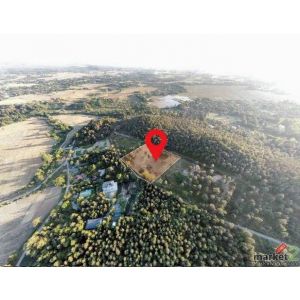 ขายที่ดินเนินเขา 5-3-42 ไร่  สันทราย (หนองแหย่ง) เชียงใหม่