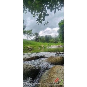 ขายที่ 1 ไร่ ที่ติดน้ำ ตรว.ละ 17,600 บ้านปง หางดง           