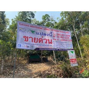 ขายที่ดินสวนยาง ขนาด 40-1-39 ไร่ กรีดขายได้แล้ว ทำเลดี วิวแม่น้ำโขง - จังหวัดหนอ