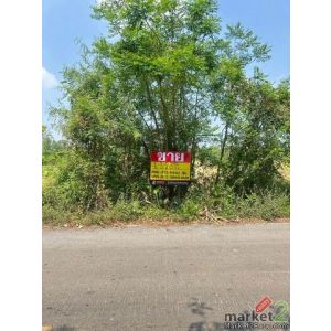 ขายที่ดิน  6-3-28 ไร่  ซอยองค์การบริหารส่วนจังหวัดนครนายก   บางสมบูรณ์   องครักษ