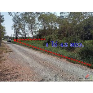 ขายที่ดิน 1 ไร่ 43 ตรว. คลองสิบสอง หนองจอก ใกล้สโมสรหนองจอก ซิตี้ เหมาะทำบ้านสวน