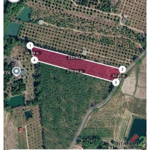 ขายที่ดินเมืองระยอง ขายที่ดินระยอง 5 ไร่พร้อมสวนยาง ที่สวย ทางเข้า 2 ทาง น้ำ ไฟ 