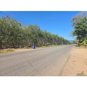 ขายสวนยางผืนใหญ่ ทำเลดี ในตำบลทุ่งควายกิน อ.แกลง จ.ระยอง