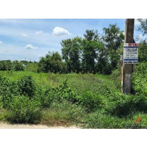 ที่ดิน - ใกล้กับ วัดธรรมกาย ตลาดไท 1000000 thb  0 RAI 0 NGAN 100 ตร.ว. ราคาดี ปท