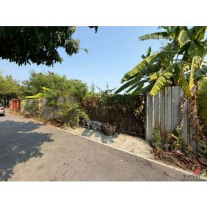 ขาย ที่ดินเปล่า กั้นรั้วและถมแล้ว ในซอยวัดลาดปลาดุก นนทบุรี