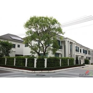 ขาย บ้านเดี่ยว เศรษฐสิริ บางนา กม.10 บ้านหรู 5 ห้องนอน ใกล้โรงเรียนนานาชาติ