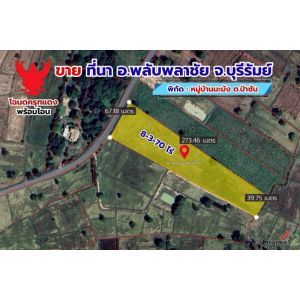 ขายด่วน ที่ดินที่นา 8 ไร่ 3 งาน 70 ตรว. ติดถนนลาดยาง โฉนดครุฑเเดงพร้อมโอน 