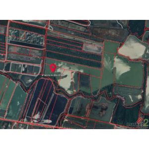 ขายที่ดินพร้อมบ่อเลี้ยงสัตว์น้ำ  90-3-48  ไร่  แพรกหนามแดง ยี่สาร อัมพวา  ใกล้ถน