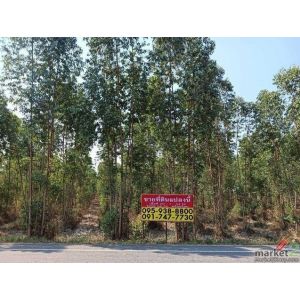 ขายที่ดินสวนยูคาลิปตัส  20-1-34 ไร่ สวนผึ้ง ราชบุรี  วิวภูเขา  ติดถนนบ้านกล้วย -