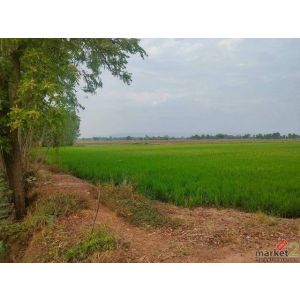 ขายที่ดิน 23 ไร่ 3 งาน 87.7 ตร.ว. อำเภอบางกระทุ่ม จังหวัดพิษณุโลก ราคา 10,000,00