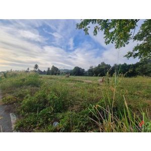 ขายที่ดิน  7ไร่ 3 งาน ยกแปลงหรือแบ่งขาย เหมาะลงทุน ทำรีสอร์ท คาเฟ่ ร้านอาหาร ใกล