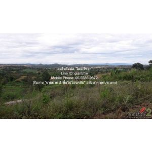 ที่ดิน ขายที่ดินบนเนินเขา 10-1-5 ไร่ (ใบอ่อน: ส.ป.ก./สร.5 ก.) วังน้ำเขียว นครราช