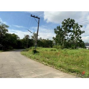 ที่ดินทำเลทอง ขายยกแปลงเพียง 13,500 บาท/ตรว. แม่ริม