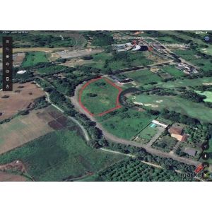 ขายที่ดินเปล่าตรว.ละ 13,500 บาท บรรยากาศดี เงียบสงบ แม่ริม