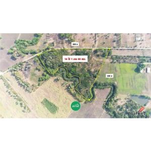 ขายที่ดินพร้อมสวนป่า อำเภอชัยบาดาล จังหวัดลพบุรี เนื้อที่ 14 ไร่