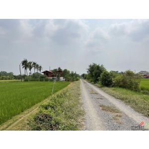 ขายที่ดินเปล่า ทำเลดี อำเภอคลองหลวง ปทุมธานี        