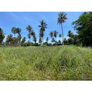 ขาย ที่ดินพร้อมสิ่งปลูกสร้าง อำเภอทับสะแก ประจวบคีรีขันธ์