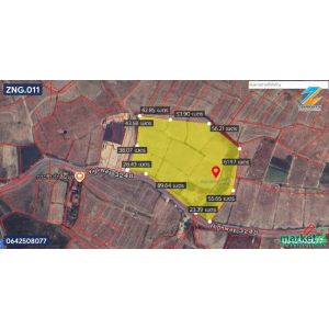 ขายที่ดิน 9-2-5 ไร่ ภูเพียง น่าน  ติดถนนลาดยาง  เดินทางเข้า-ออกสะดวก