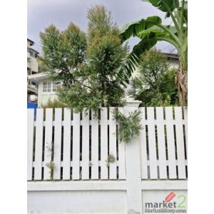 ขายบ้านหมู่ประชานิเวศน์3 อำเภอเมืง จังหวัดนนทบุรี เนื้อที่ 38 ตรว
