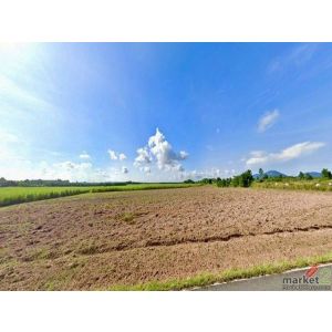 ที่ดิน 106 ไร่ บ้านบึง ใกล้ถนน 331 ผังเหลือง EEC ทำโรงงานได้ ติดถนน TP-L2177