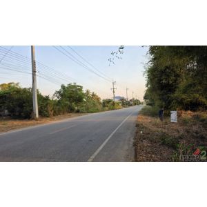 ขายที่ดิน 6 ไร่ 2 งาน 80 ตร.วา มีโฉนด ติดถนนลาดยางมะตอย อ.วังทอง จ.พิษณุโลก 
