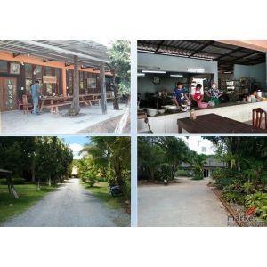 ขาย ที่ดินพร้อมสิ่งปลูกสร้าง อำเภอเมืองกระบี่ กระบี่