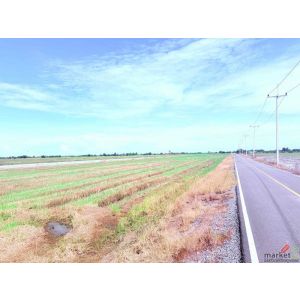 ขายที่ดินเปล่า ขนาดใหญ่  ราคาดี ทำเลบางเลน จ.นครปฐม