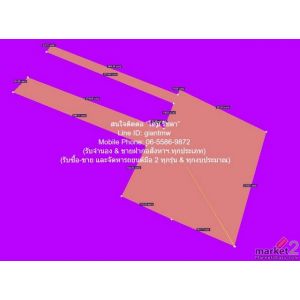 ที่ดิน ขายที่ดินผังสีม่วงเข้ม 82-1-27.9 ไร่ บางพลีน้อย บางบ่อ จ.สมุทรปราการ ราคา