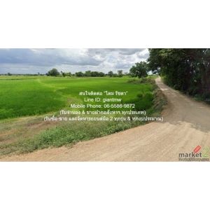 ที่ดิน //ต่ำกว่าราคาประเมิน//ขายที่ดินทุ่งนาข้าว อ.นครหลวง จ.พระนครศรีอยุธยา 17-