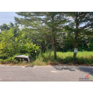 พื้นที่ดิน - ใกล้ – บิ๊กซี  – โลตัส  – ดูโฮม  – วัดอัยยิการาม  – ตลาดต้นไม้ คลอง