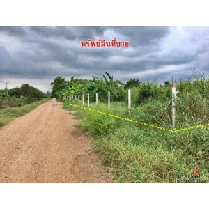 ขายที่ดินเปล่า พื้นที่ 1-1-38 ไร่ คลอง 4 รูปแปลงสวยสี่เหลี่ยมผืนผ้า คลองหลวง ปทุ