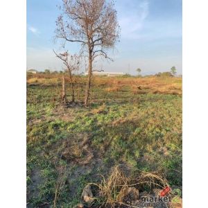 ขายที่ดินแปลงสวย เขตพื้นที่อุตสาหกรรม หนองขาม ศรีราชา ชลบุรี FP-L01989 