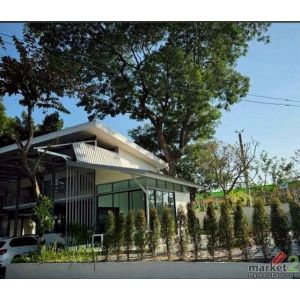 โซนป่าแดด ให้เช่า 130,000 บาท/ขาย 50 ล้าน 260 ตรว. โรงแรมพร้อมใบอนุญาตถูกต้อง #อ