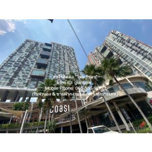 condo. เดอะ โคสต์ แบงค็อก The Coast Bangkok 36ตรม 1 Bedroom 1 ห้องน้ำ 19000 บาท 