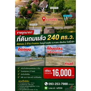 ขายถูกมาก!! ที่ดินถมแล้ว 240 ตร.ว. ติดถนน 2 ด้าน ทำเลทอง ในหมู่บ้านยุพิน อ.หางดง
