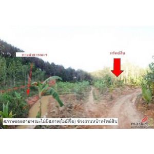 ที่ดินว่างเปล่า สะเดา-สงขลา ถ.บ้านระตะ ต.เขามีเกียรติ อ.สะเดา จ.สงขลา