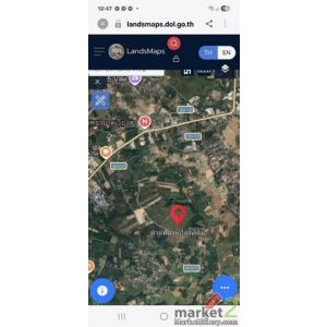 ขายที่ดินพร้อมสวนต้นสัก อำเภอเวียงสา จังหวัดน่าน เนื้อที่ 31 ไร่