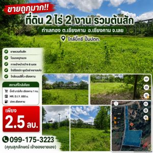ขายถูกมาก!! ที่ดิน 2 ไร่ 2 งาน รวมต้นสัก ทำเลทอง ต.เชียงคาน อ.เชียงคาน จ.เลย