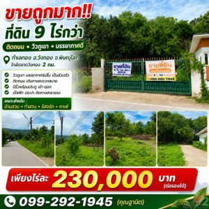 ขายถูมาก!! ที่ดิน 9ไร่กว่า ติดถนน วิวภูเขา บรรยากาศดี ทำเลทอง อ.วังทอง