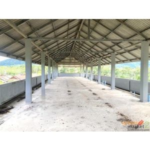 ขายอาคารพักอาศัย 3 ชั้น สุราษฎร์ธานี ถนนสายบ้านใน - ดอนสัก   ราคาโปรโมชั่น