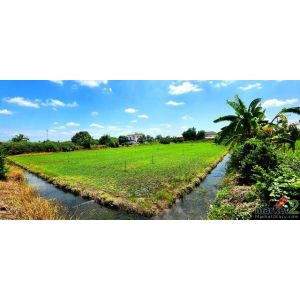 ขายที่ดินคลอง 12 หนองเสือ 1 ไร่ ติดถนน 2 ด้าน  เหมาะปลูกบ้านสวน ทำเกษตรพอเพียงได