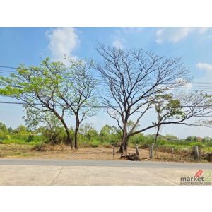 มิตรไมตรี  Makro เลียบวารี 1.84กม. ประชาสำราญ  ที่ดินถมแล้ว หนองจอก  รร.ภัทรญาณว