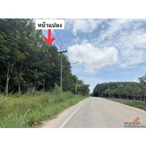 ขายที่ดิน 60-3-35 ไร่ ผังเมืองสีม่วงลาย ที่สวยเสมอ น้ำไม่ท่วม ศรีราชา ชลบุรี