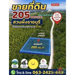 ขายที่ดิน 205 ตารางวา (นส.3ก.รอเดินสำรวจเอาโฉนด)ทำเลสวย อำเภอสวนผึ้ง จังหวัดราชบ