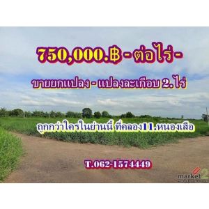 อสังหาราคาเบา ดินแบ่งขายถูกกว่าใครในย่านนี้ที่คลอง11 หนองเสือ ปทุมธานี Tel 062-1