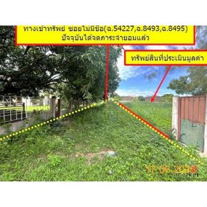 ขายที่ดินเชียงใหม่ เนื้อที่ 1-1-49.00 ไร่  อำเภอสันทราย  ถนนเชียงใหม่-พร้าว
