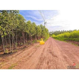 ทรัพย์ A+ ขายด่วน ที่ดิน 17 ไร่ ที่ตั้ง กบินทร์บุรี ปราจีนบุรี