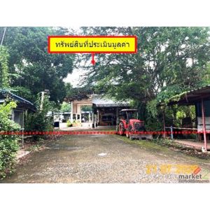 ขายโกดัง ถนน สายศรีสัชนาลัย-เด่นชัย แพร่ เด่นชัย แพร่