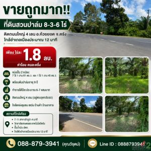 ขายถูกมาก!! ที่ดินสวนปาล์ม 8-3-6 ไร่ ติดถนนใหญ่ 4 เลน อ.ห้วยยอด จ.ตรัง ใกล้อำเภอ