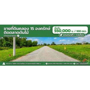ขายที่ดินตลาดต้นไม้คลอง15 องครักษ์ 100 ตรว เจ้าของขายเอง เหมาะปลูกบ้านสวน